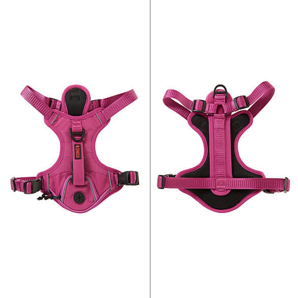 Kong pink padded dog harness small and Kong leash NEW